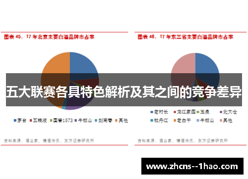 五大联赛各具特色解析及其之间的竞争差异 五大联赛各具特色解析及其之间的竞争差异