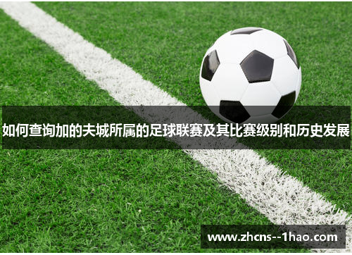 如何查询加的夫城所属的足球联赛及其比赛级别和历史发展 如何查询加的夫城所属的足球联赛及其比赛级别和历史发展