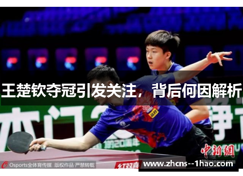 王楚钦夺冠引发关注,背后何因解析 王楚钦夺冠引发关注,背后何因解析